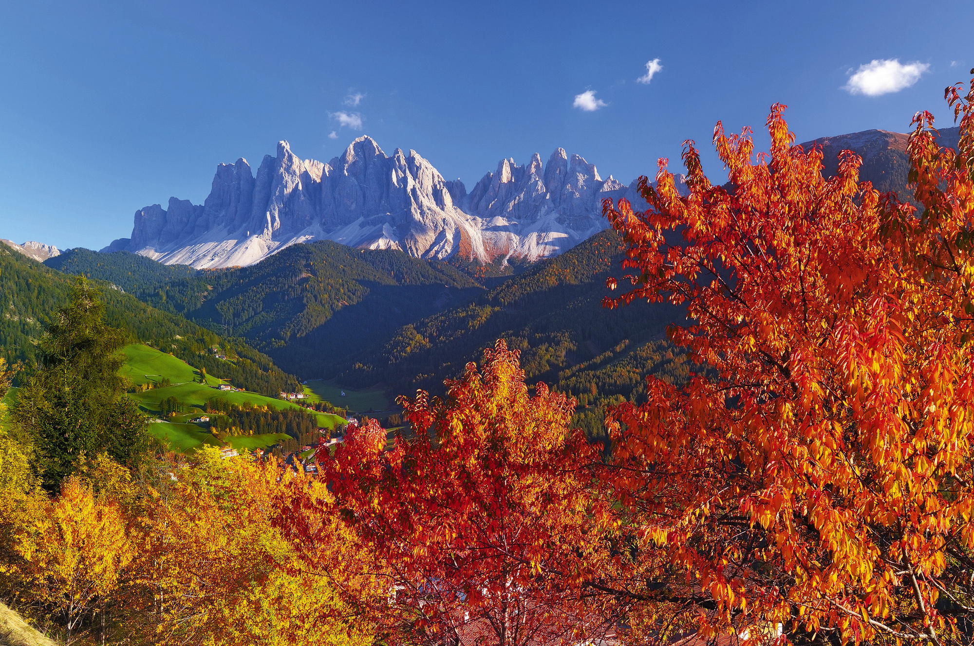 Goldener Herbst in Südtirol