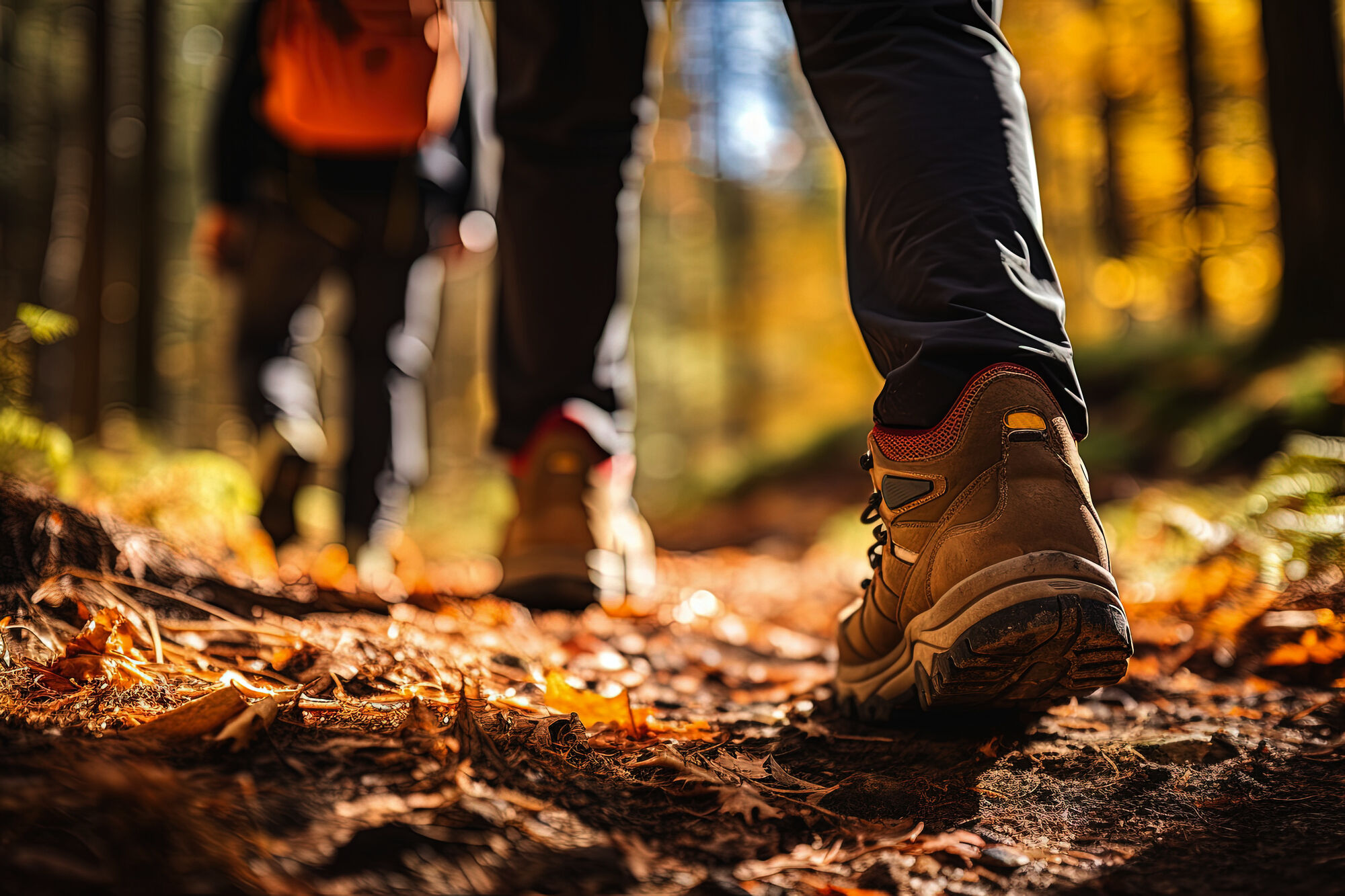 Hiking Holiday in Chiemgau