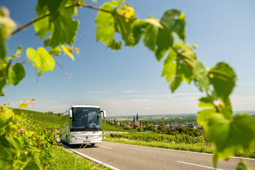 Komfortabler Kurzurlaub mit modernem Reisebus von BOHR