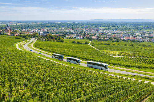 Busrundreise durch Europa – Drei BOHR Reisebusse auf der Weinbergstraße
