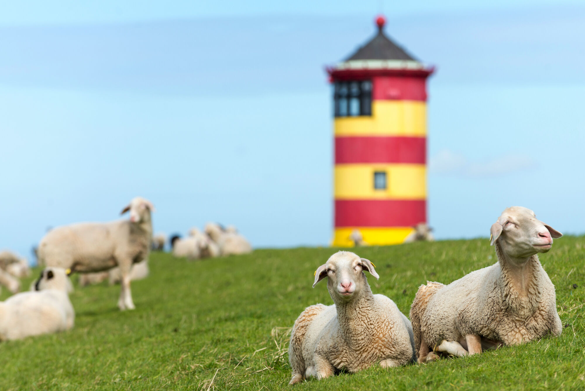 Moin in Ostfriesland