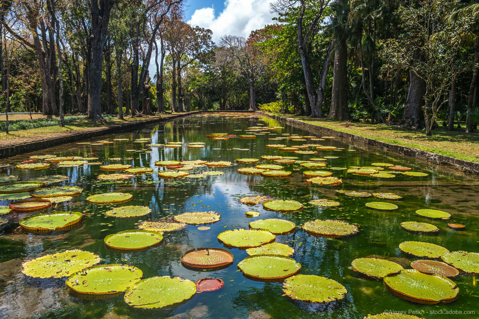 Mauritius