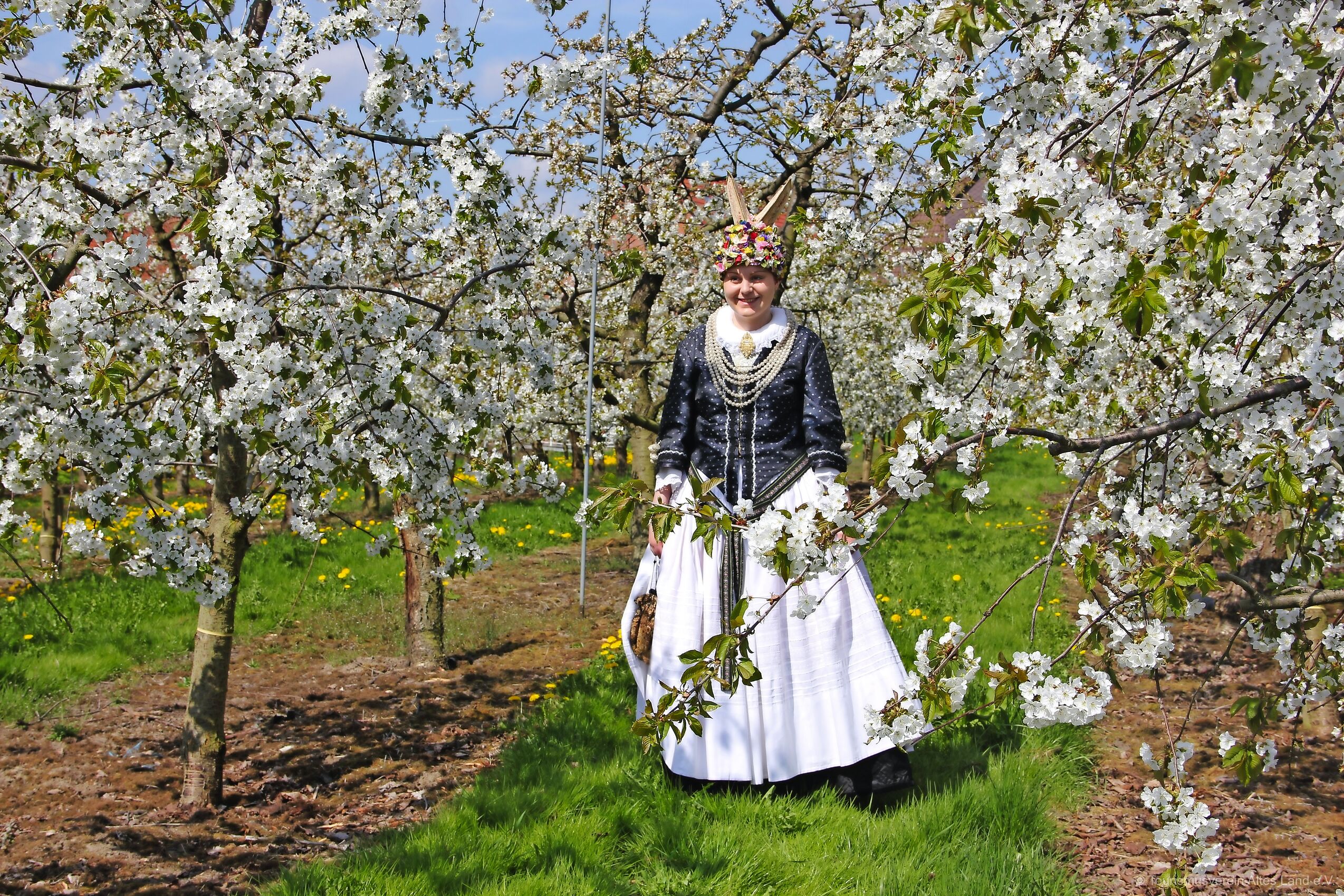 Spring in the Old Land