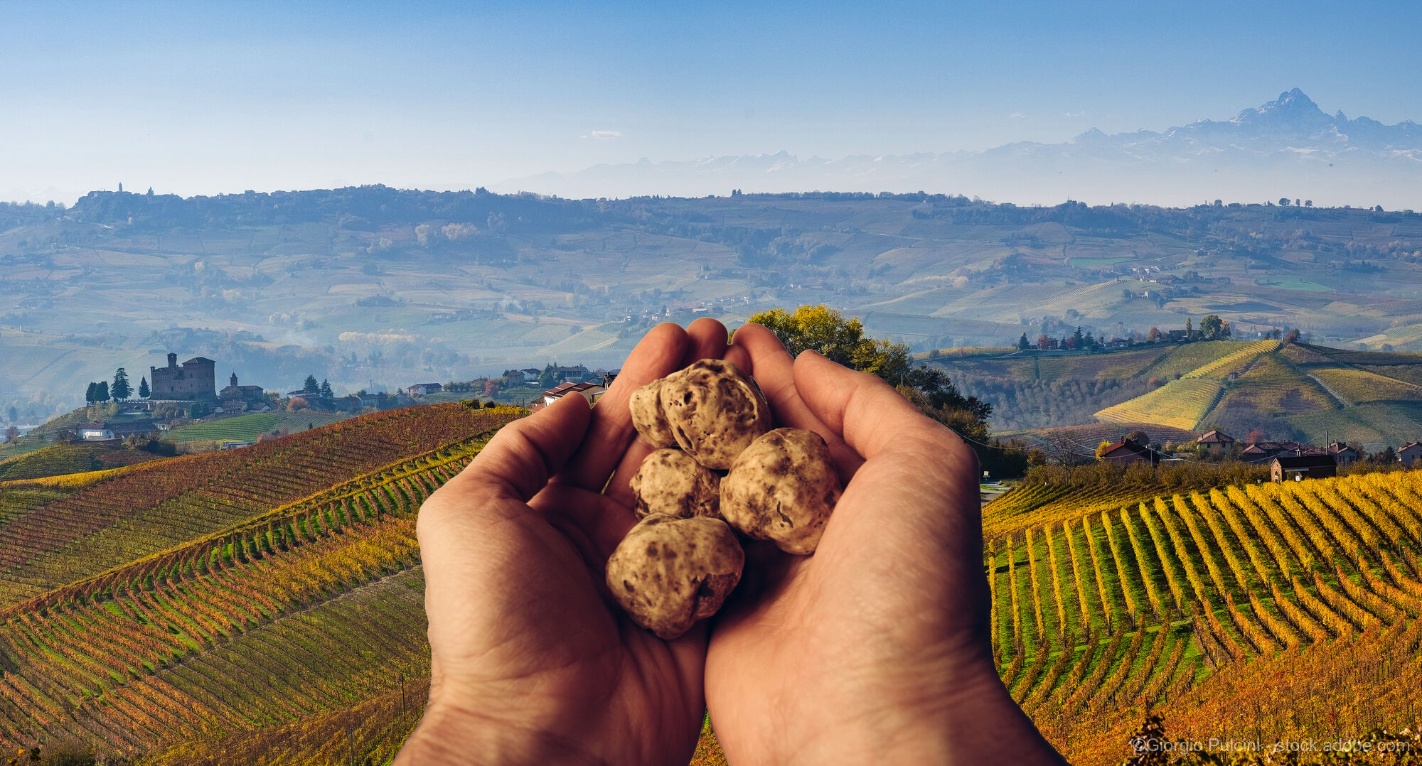 Piemont - "Wein & Trüffel"