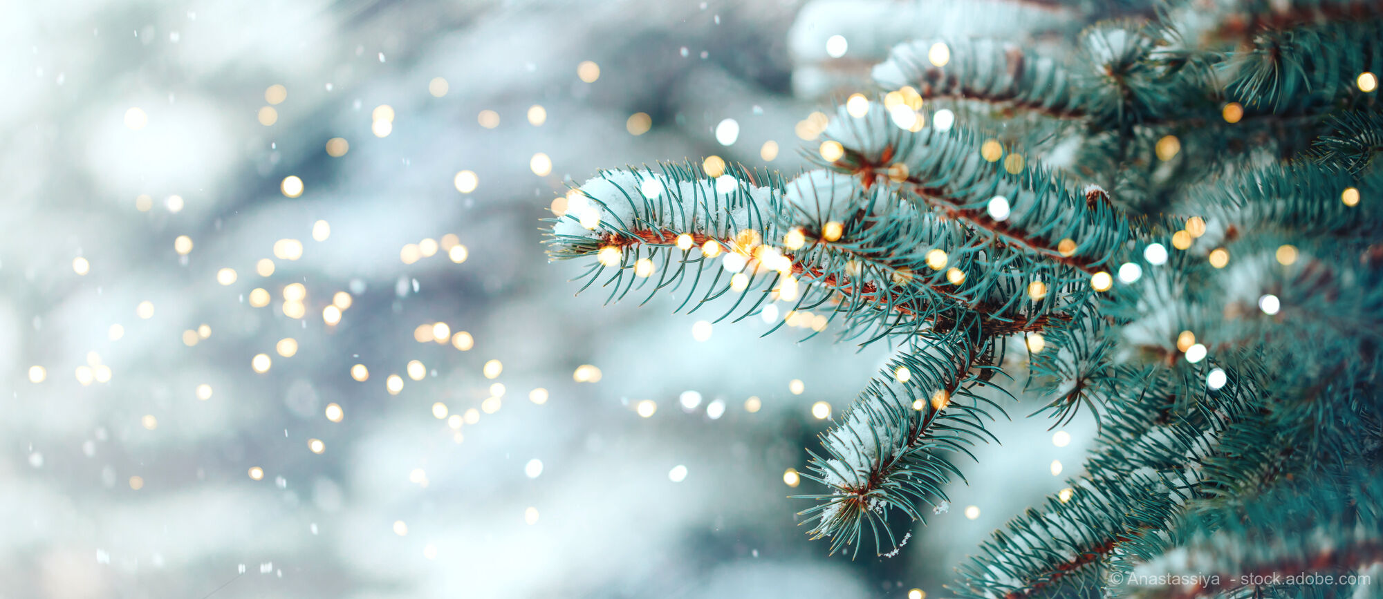 Christmas and New Year's Eve in the Mostviertel