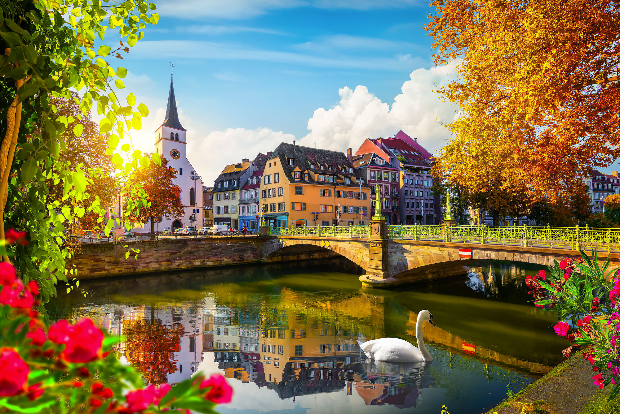 Alsace and Black Forest