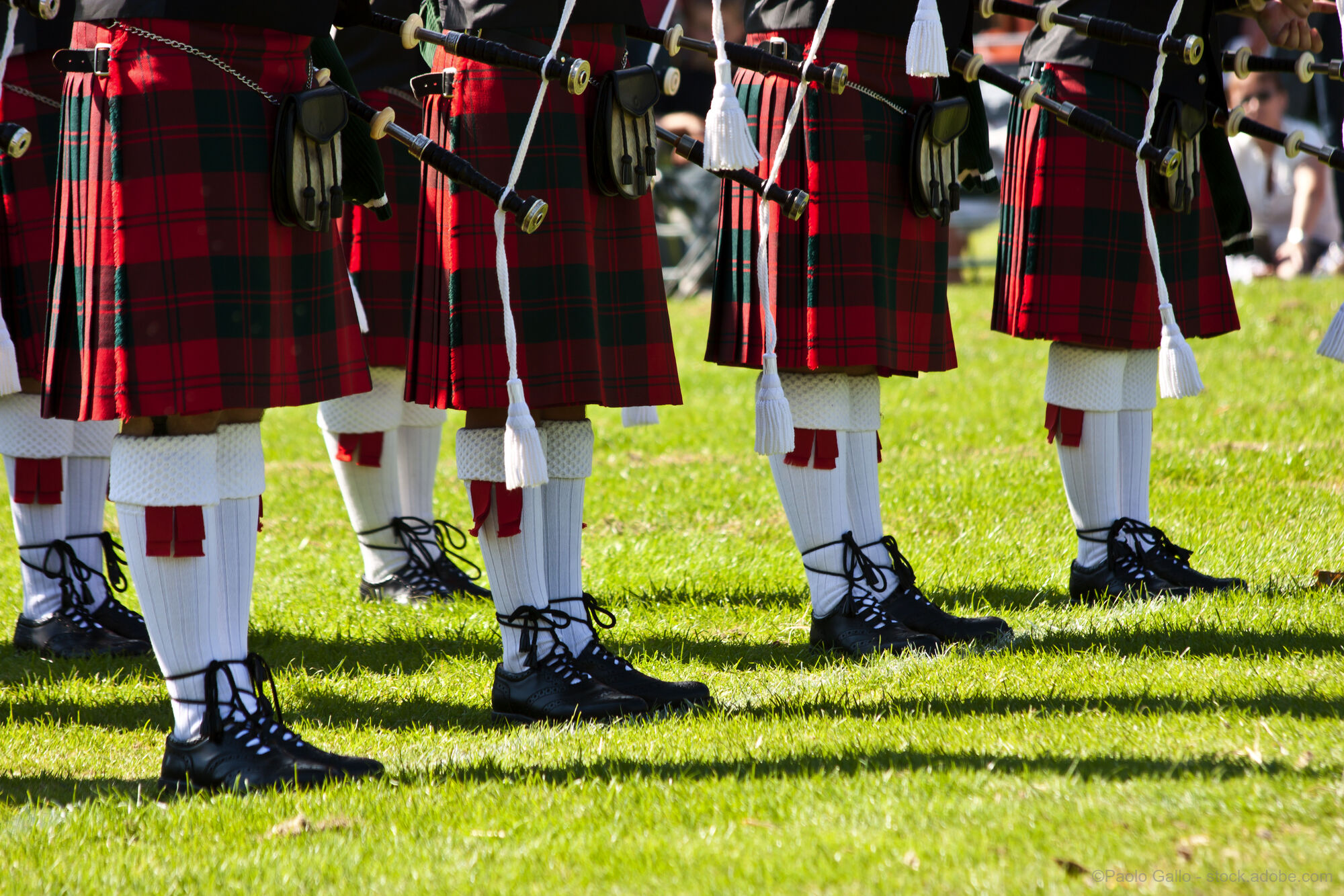 Schottenkaro und Haggis