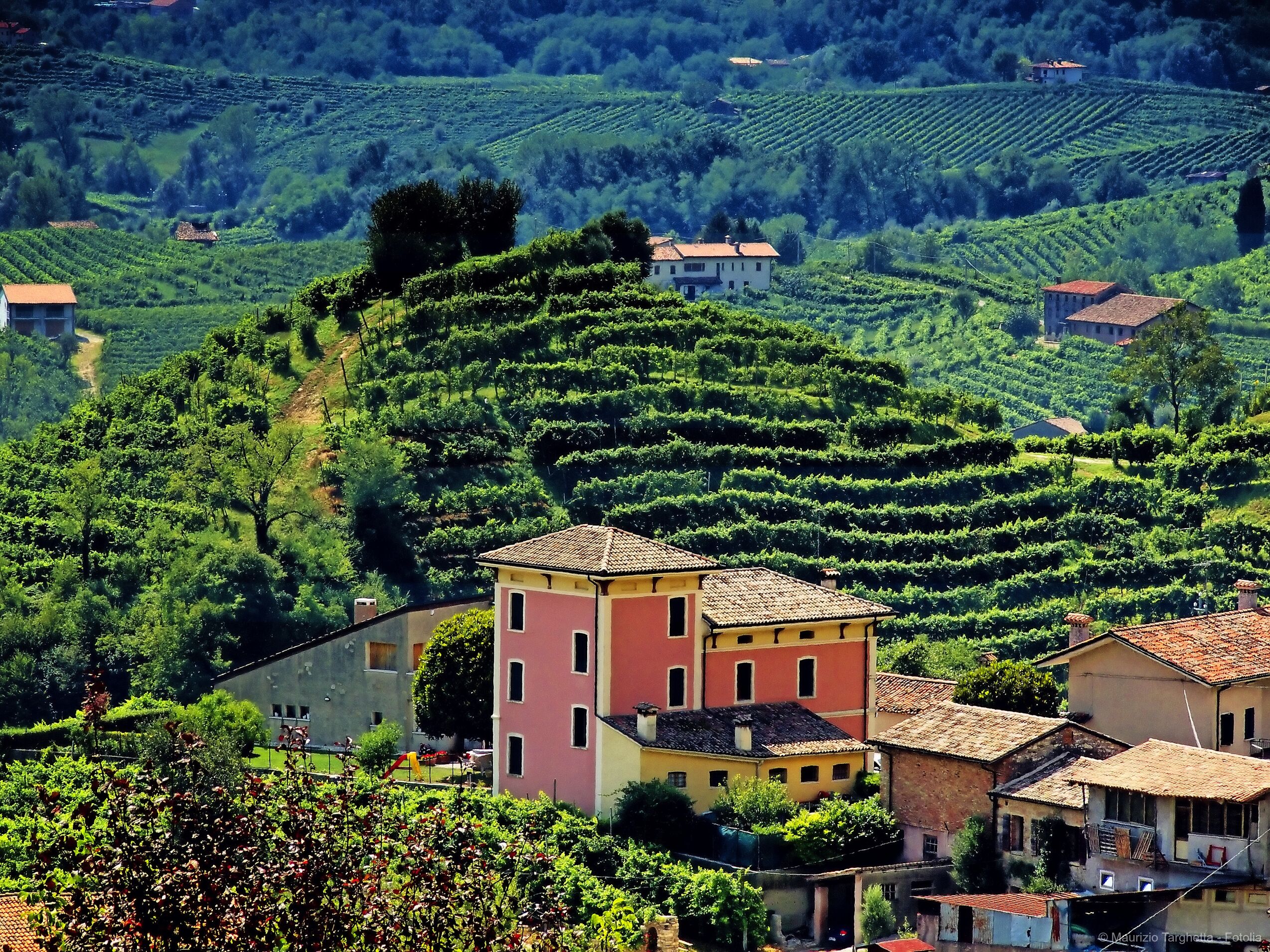 From South Tyrol by Bike to the Sea