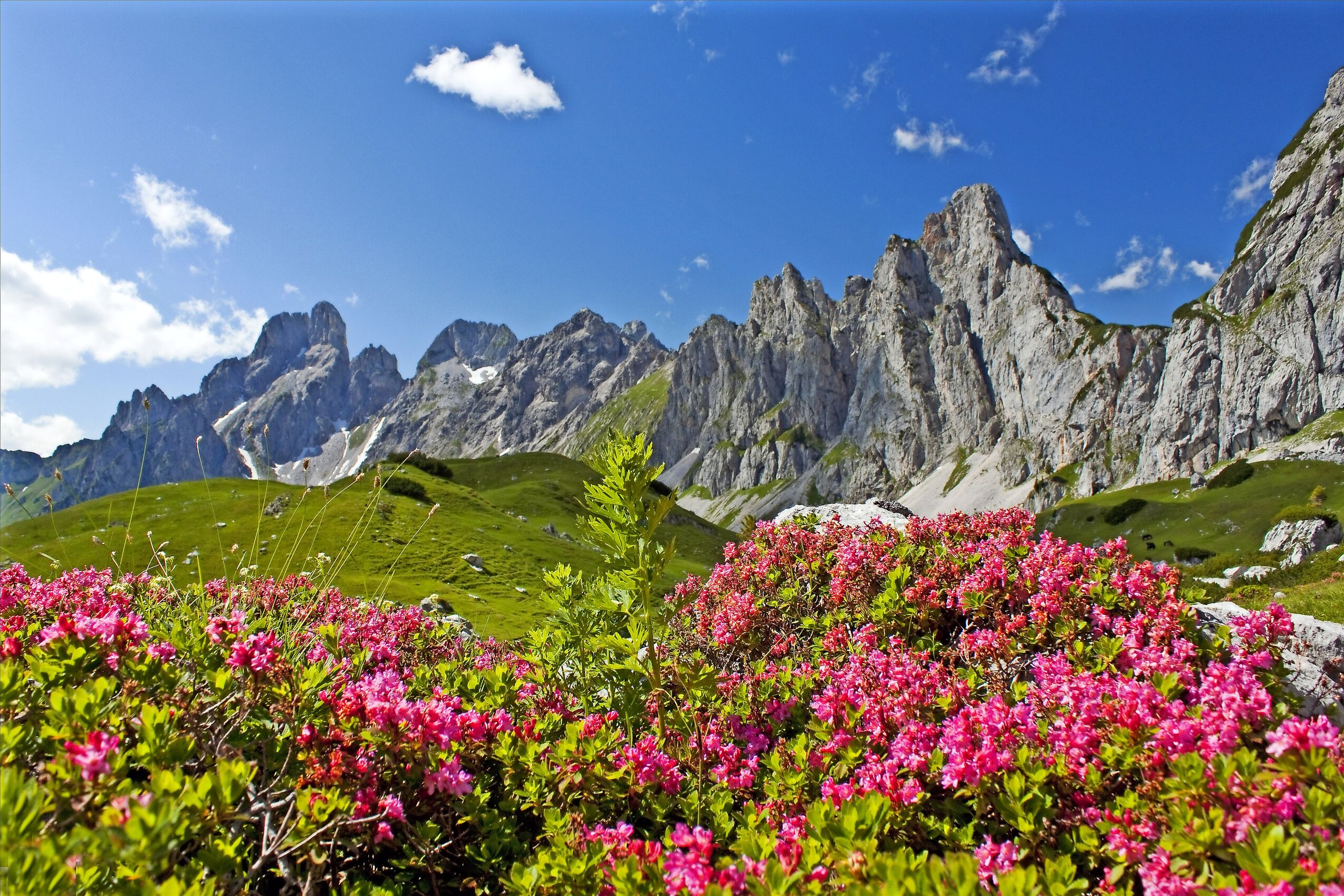 Schladming am Dachstein