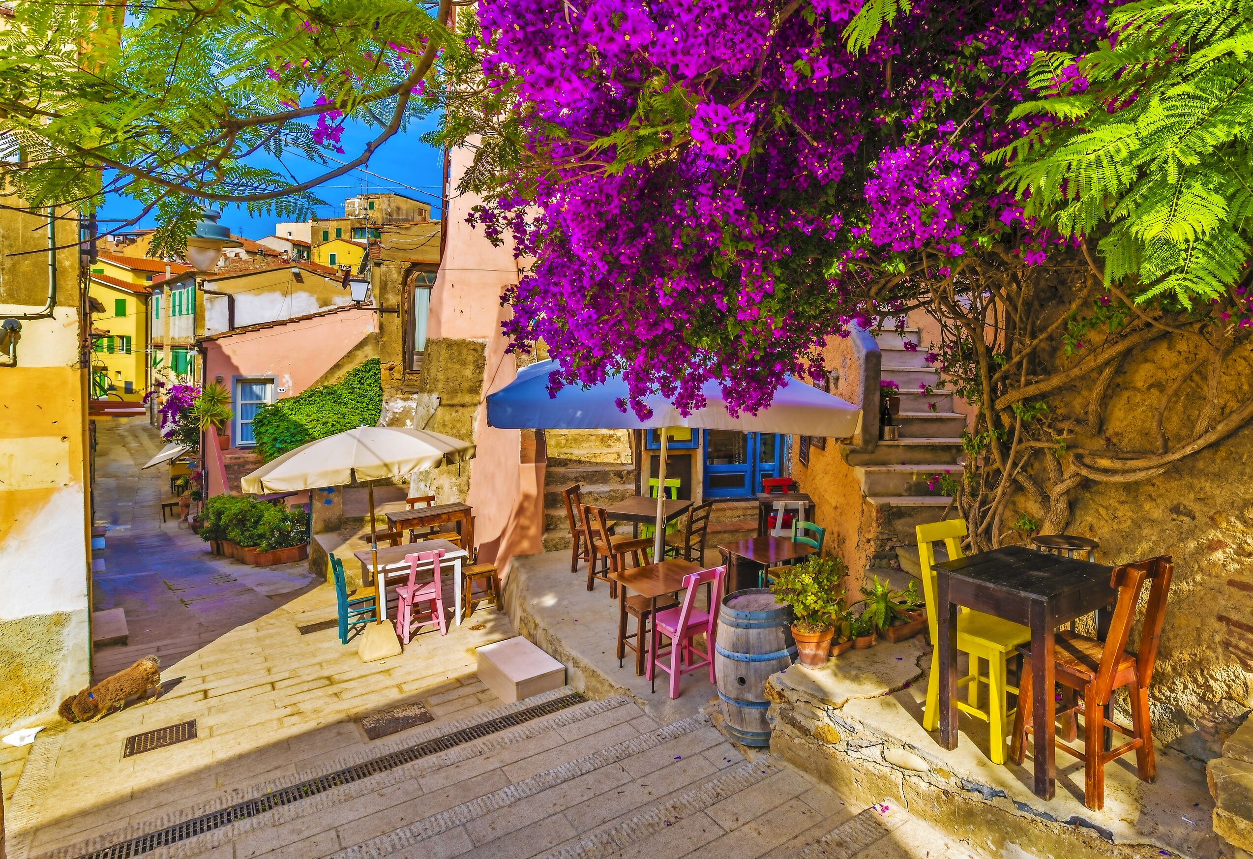 Elba Island