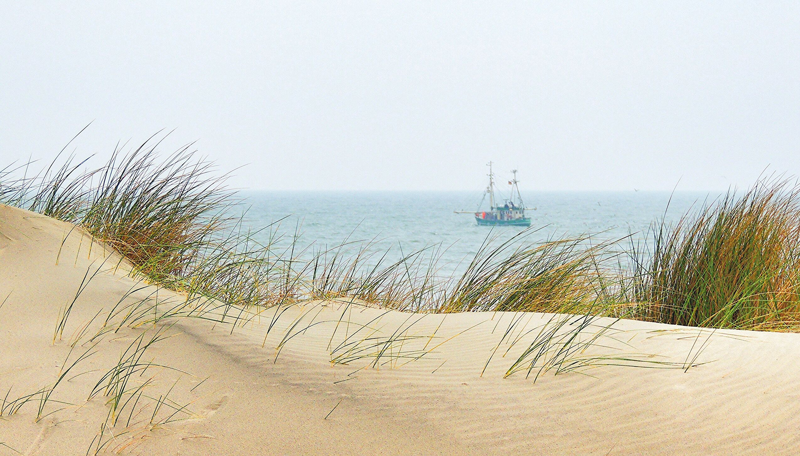 Nordseeküste Spiekeroog – Urlaubsreisen mit dem Bus von BOHR