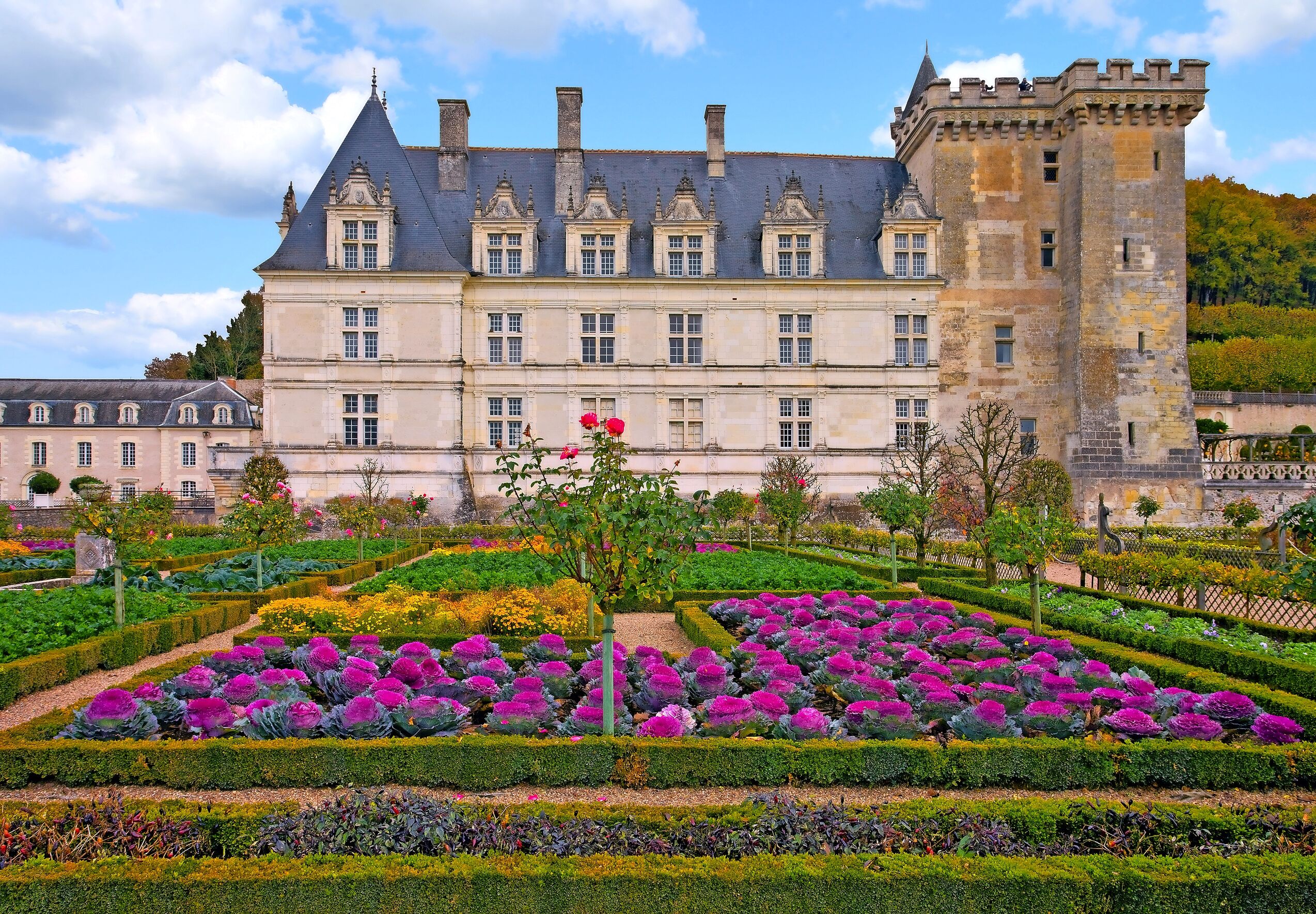 The Châteaux of the Loire