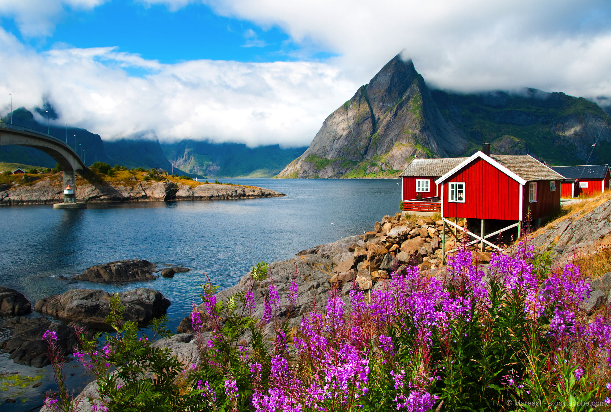Lofoten & Norwegian Fjords