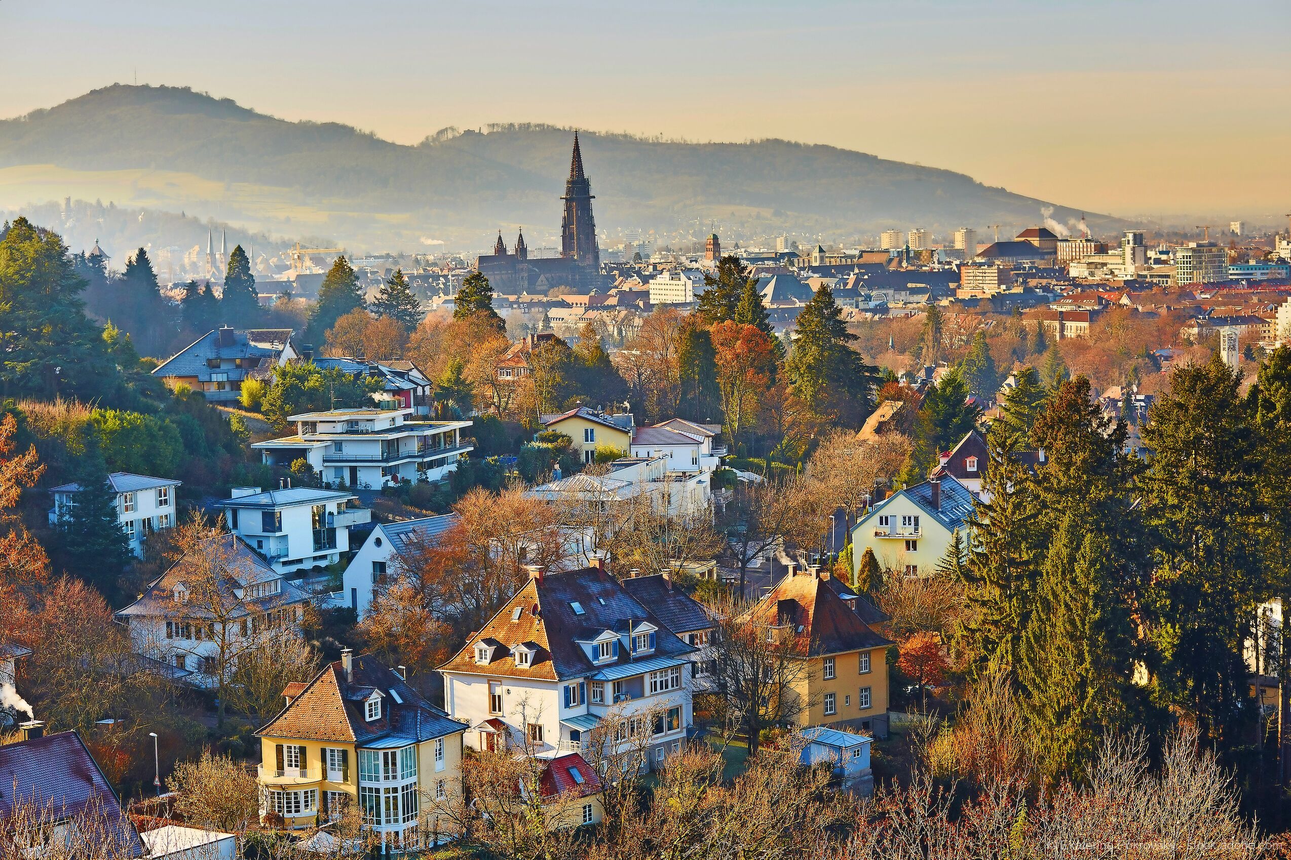 Wohlfühltage im Schwarzwald