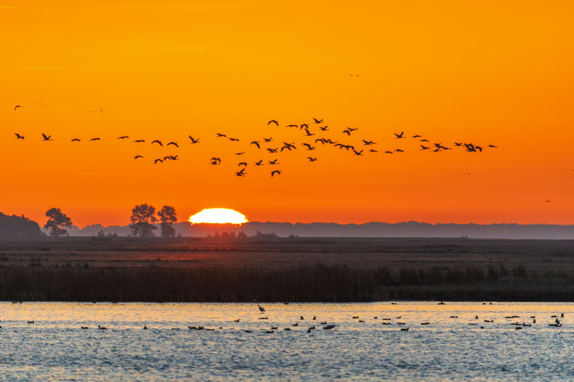 Holiday in the Baltic Sea Resort of Prerow