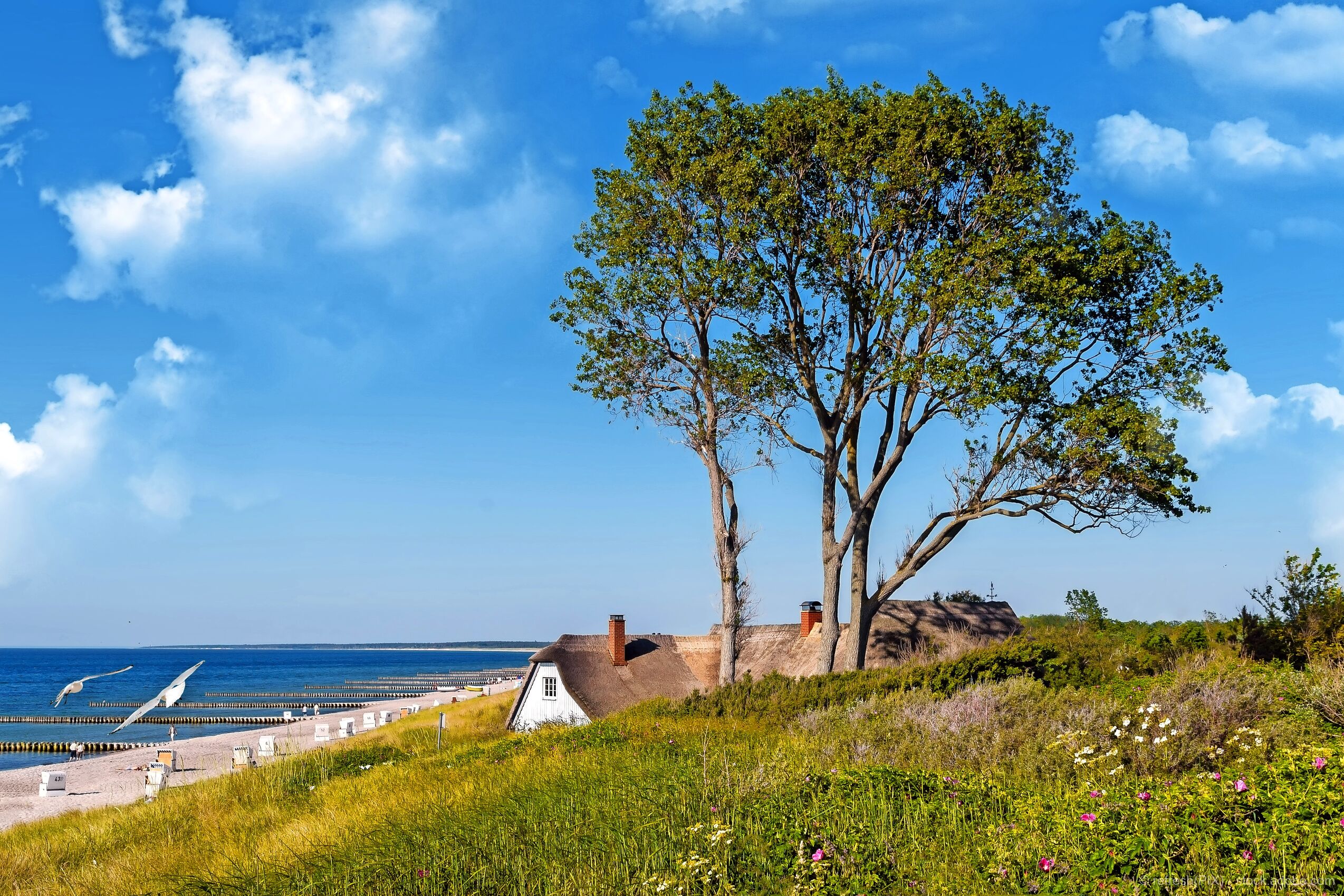 Holiday in the Baltic Sea Resort of Prerow
