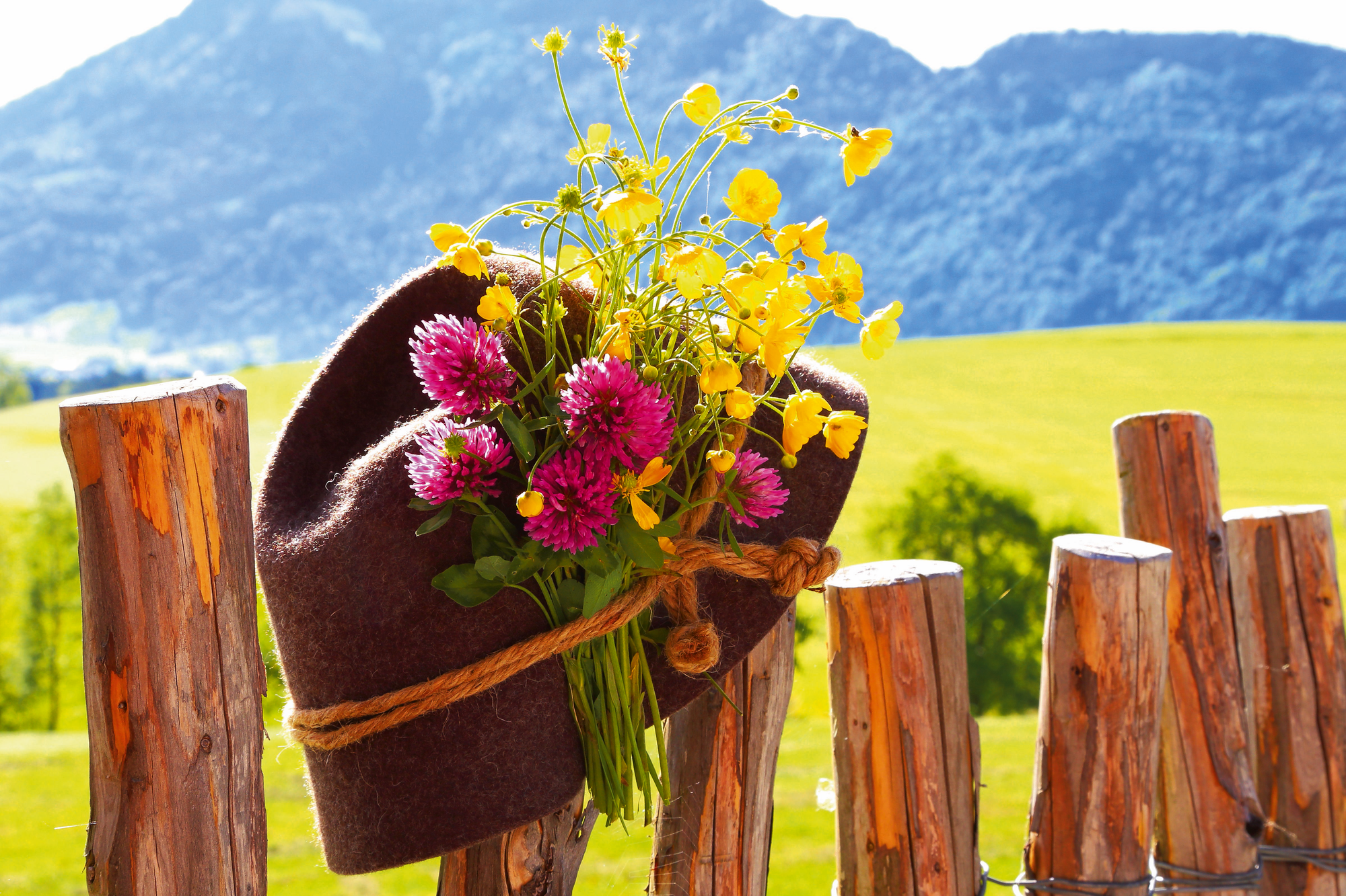 Lungau - Naturjuwel im Herzen der Tauern!