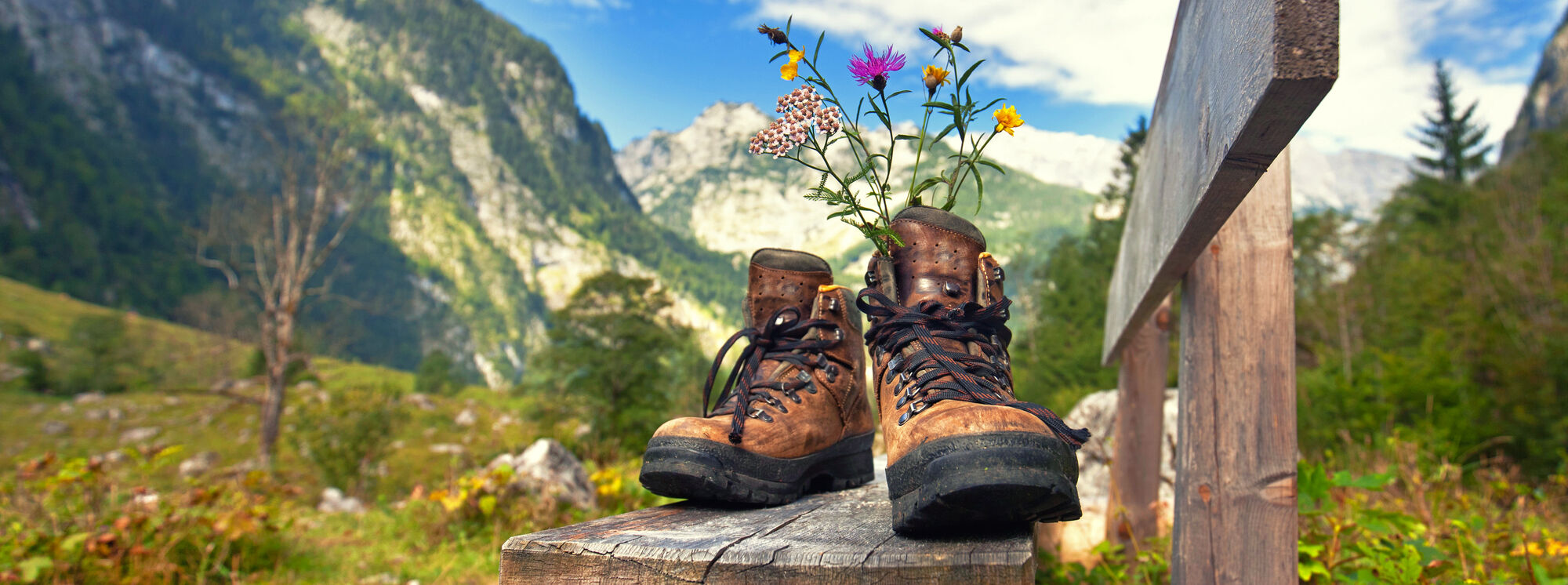 Hiking in the Heart of Trentino!