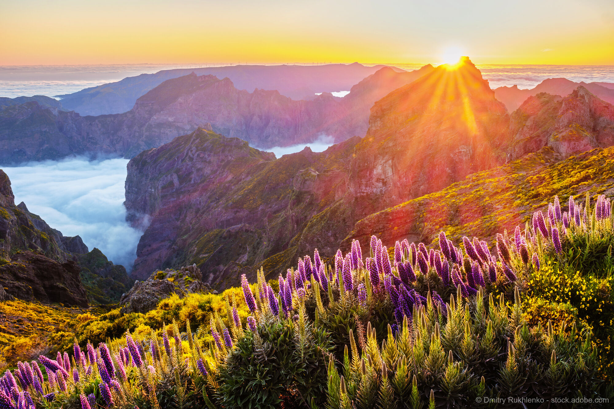 Madeira