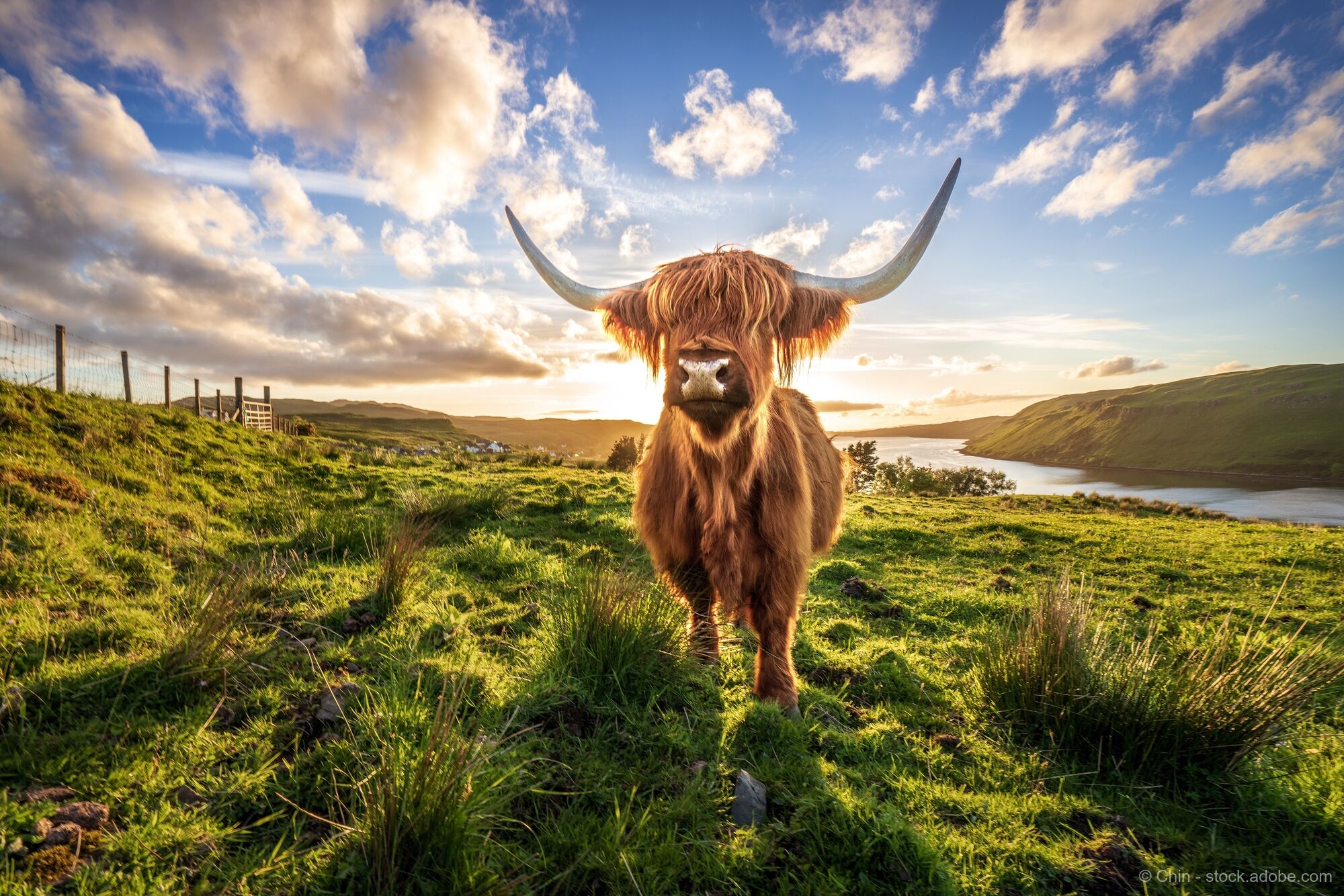Schottenkaro und Haggis