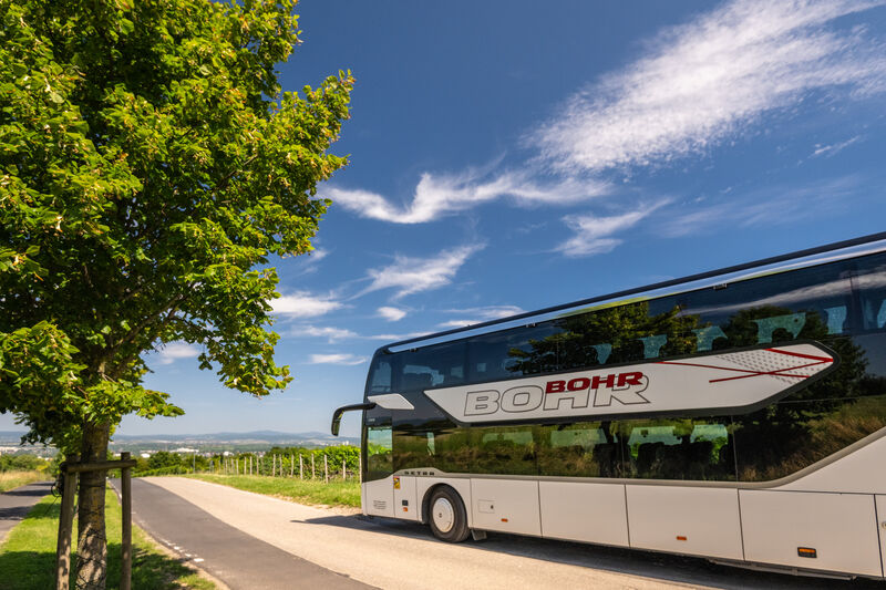Bus