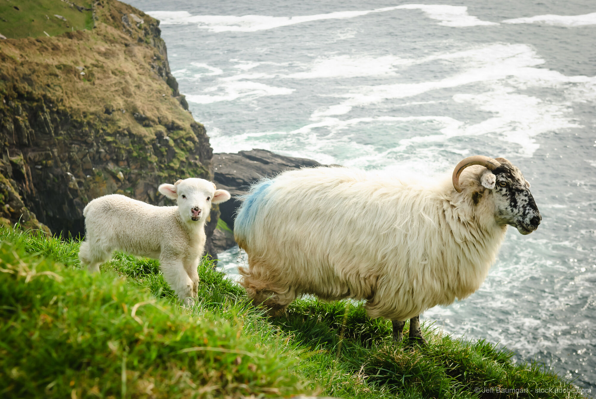 Wildes Irland