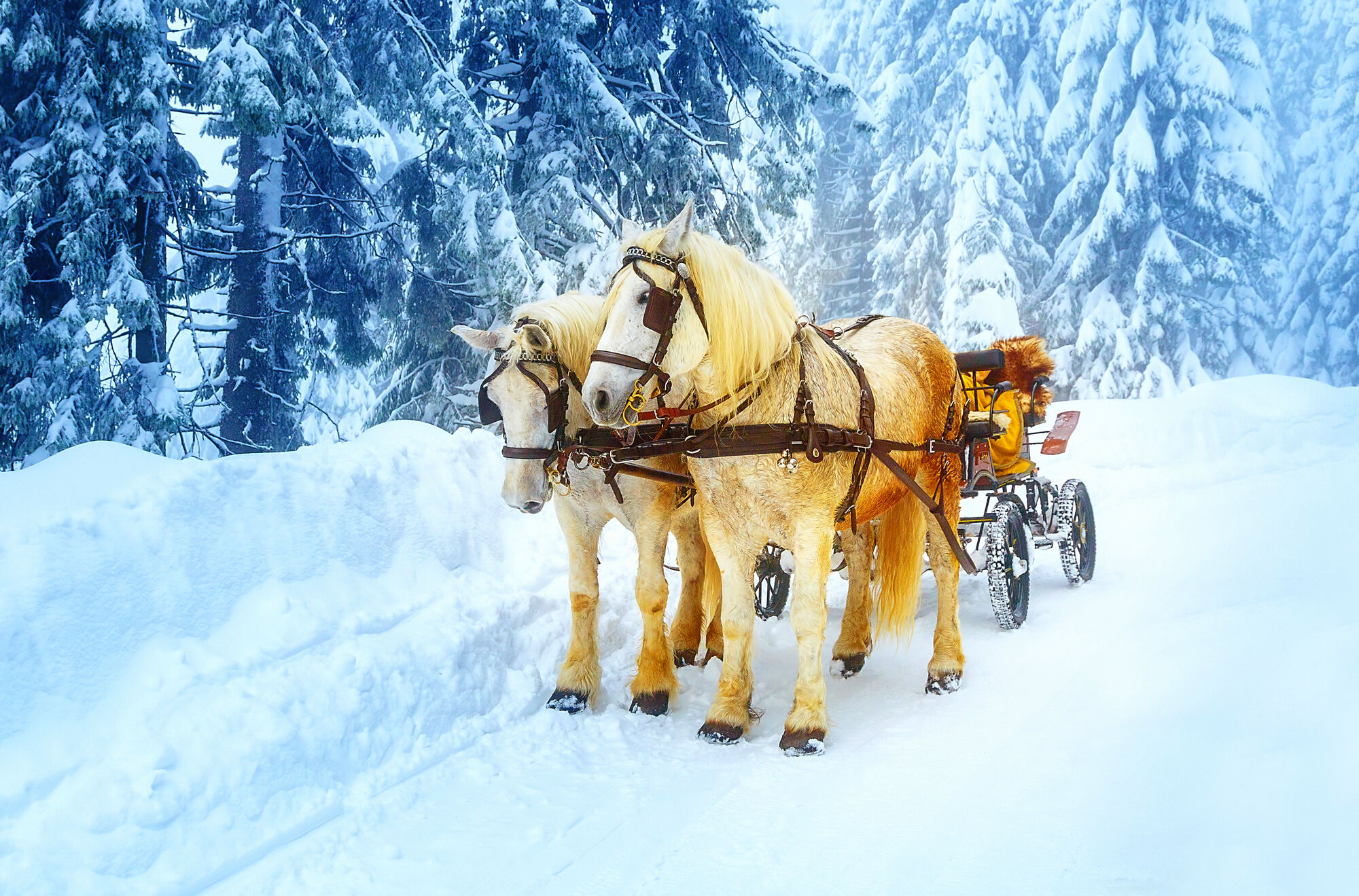Advent in the Tyrolean Mountains