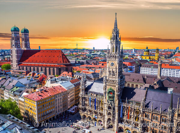 Bayerische Königsschlösser & München