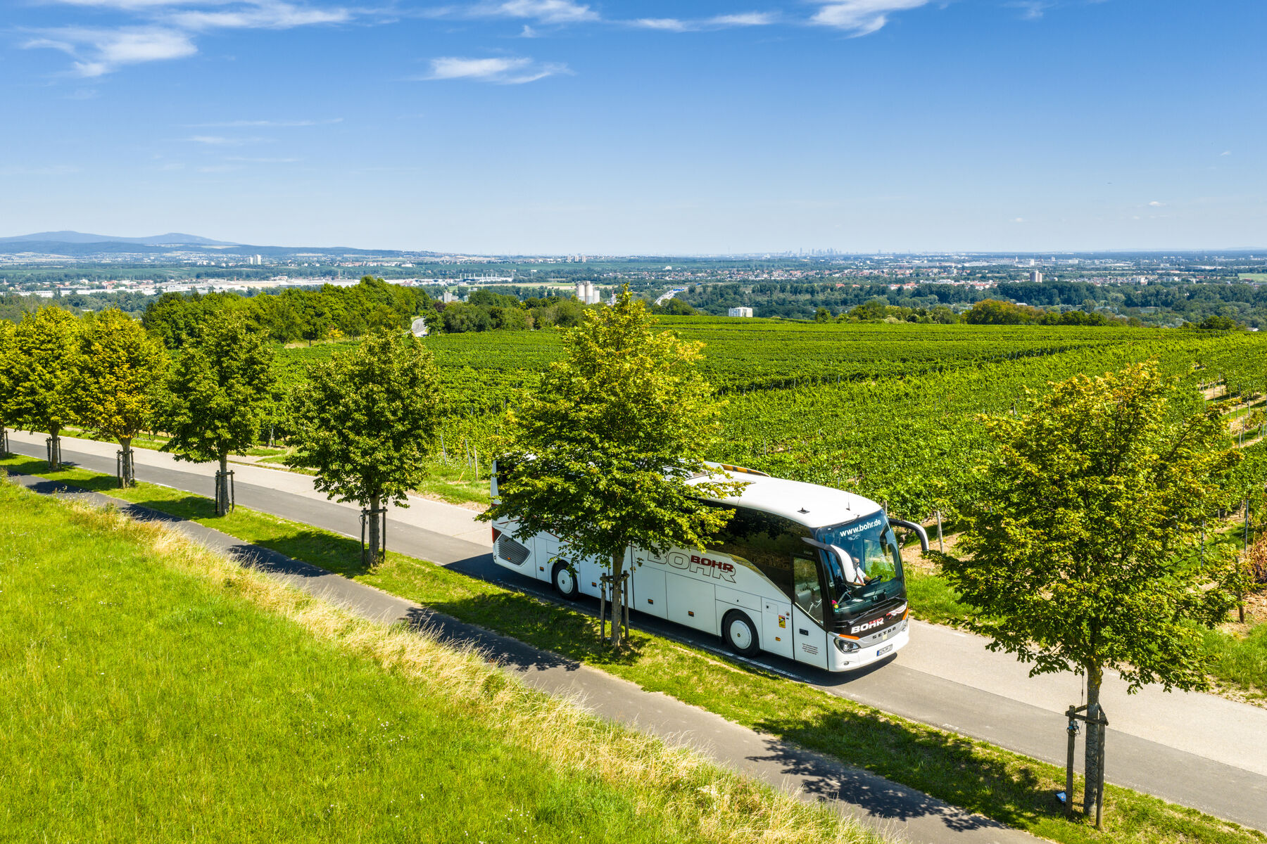 Bus