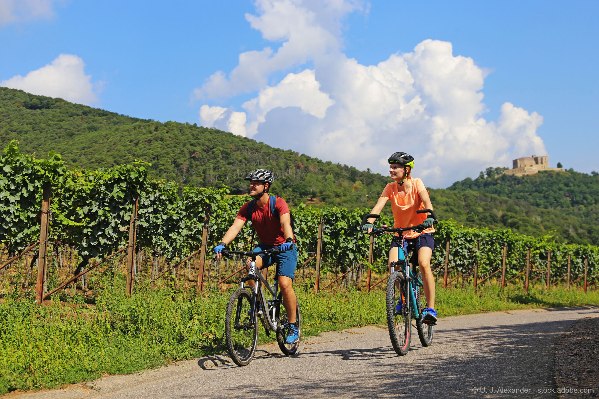 Experience the Palatinate with the E-Bike