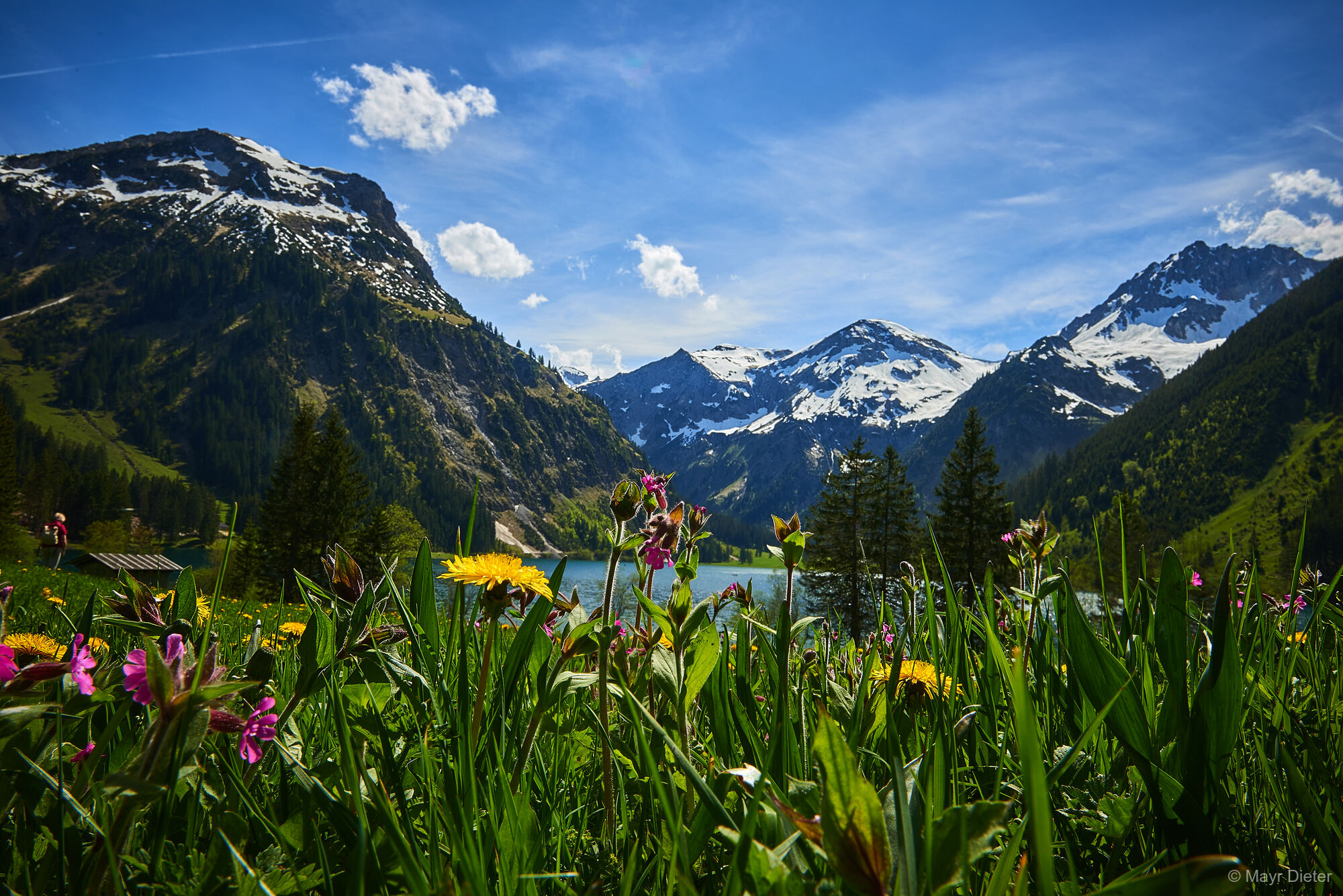 Sommer im Tannheimer Tal