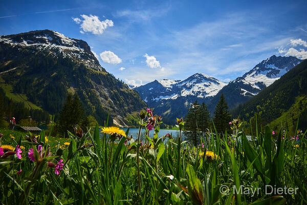 Sommer im Tannheimer Tal