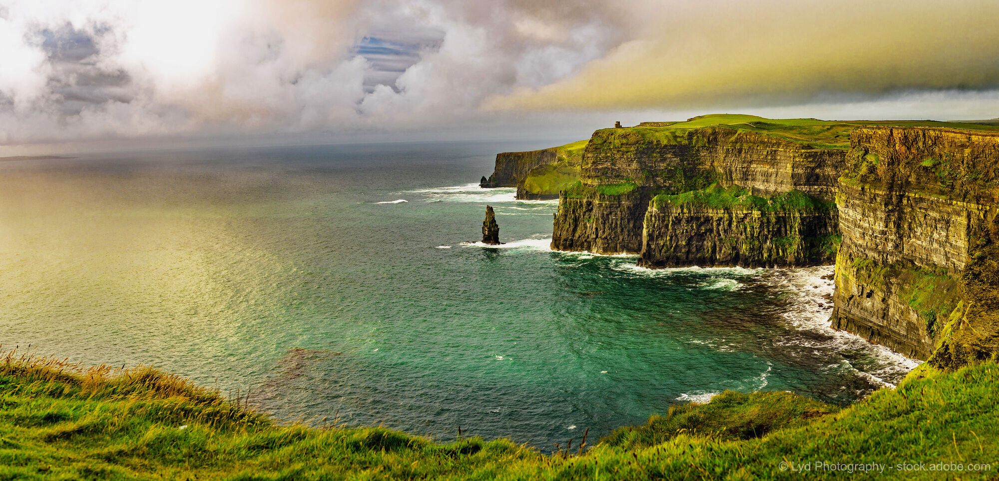 Wildes Irland