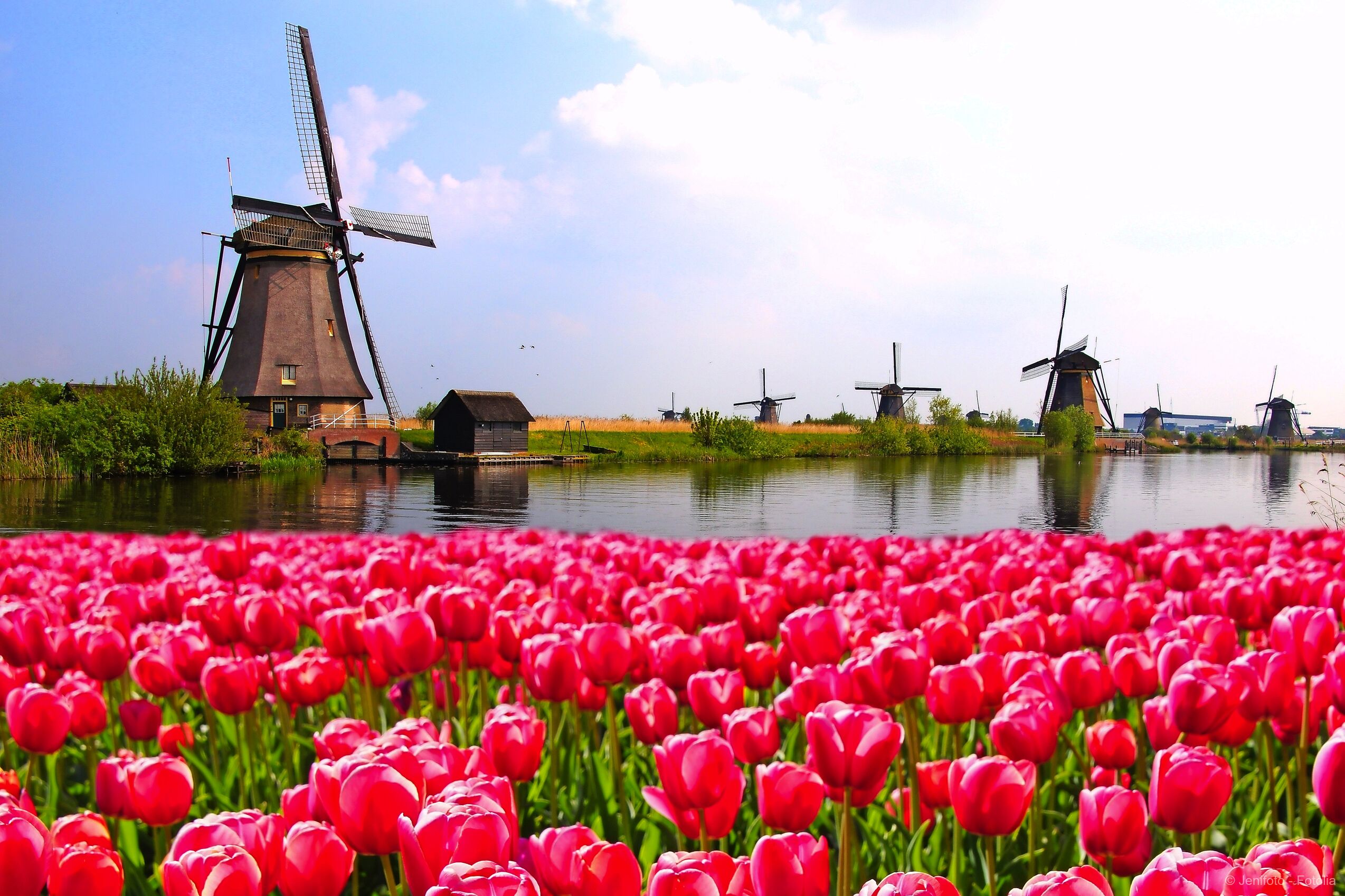 Holland, Flandern und Ardennen
