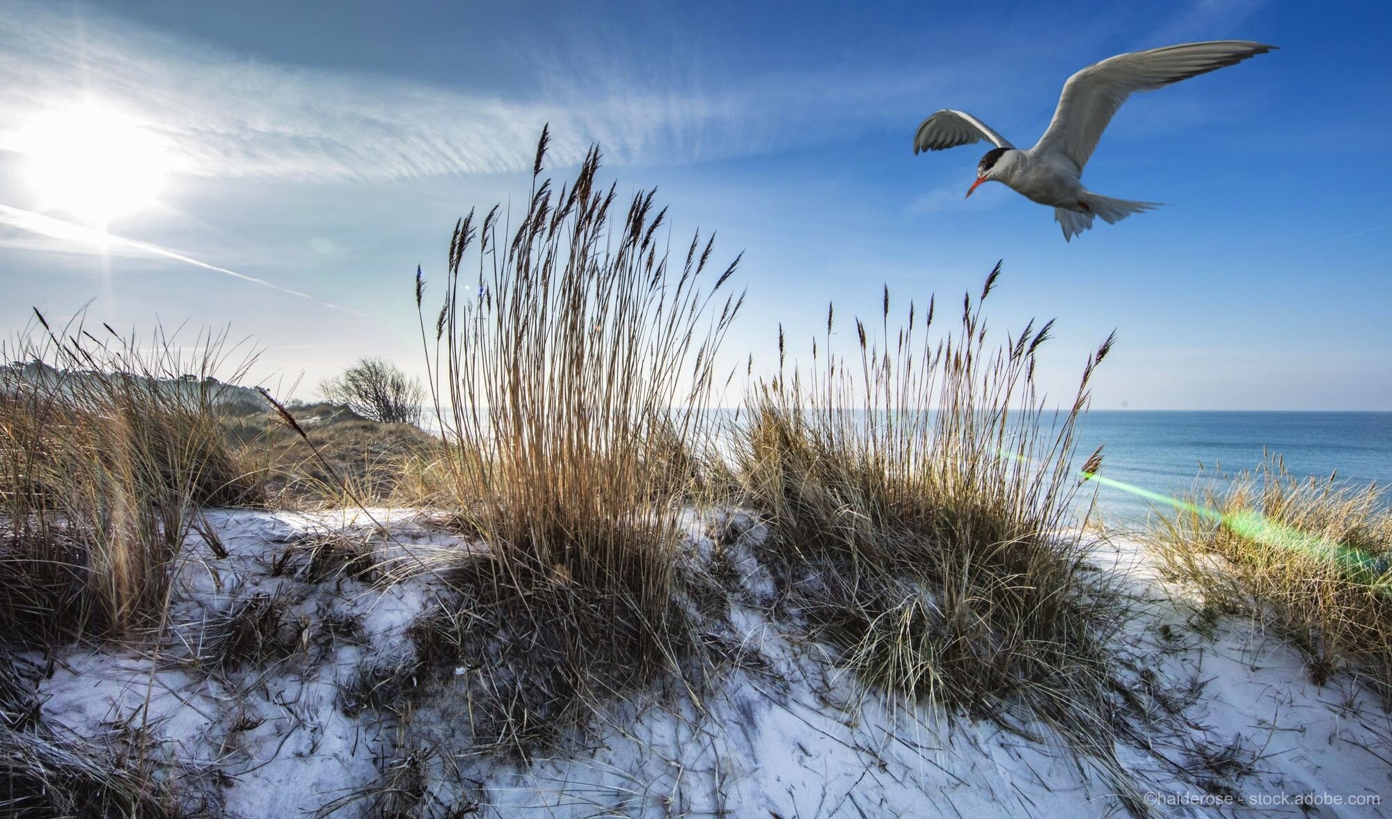North Sea Coast - Carolinensiel