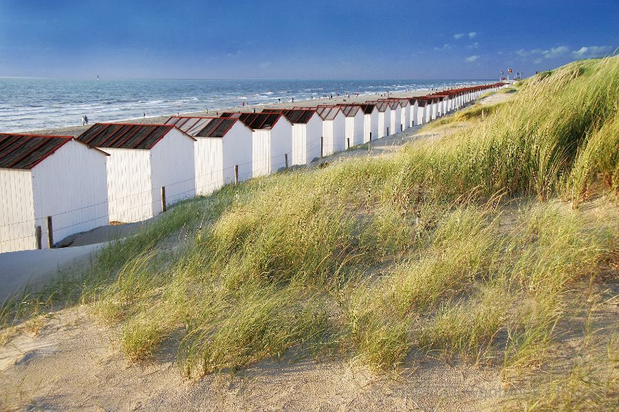 Urlaubstage in Nordholland
